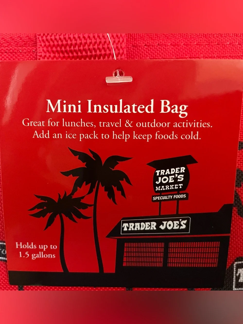 🌺NWT Trader Joe's insulated Aqua Mini Tote - Summer 2025
